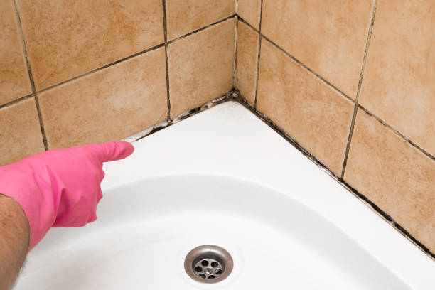 Best Mold Cleaning Services  in Fort Deposit, AL